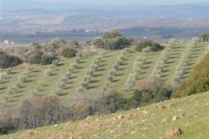 Xtrallusion photo gallery of Italy. Photos, pictures, images and photographs of the Italian Rivieras, the Italian Lakes, the Italian Alps, the Cinque Terre, the Amalfi coast and some of the most beautiful corners of Italy. Plus photos of Italian cities such as Pisa, Milan, Genoa and Rome.